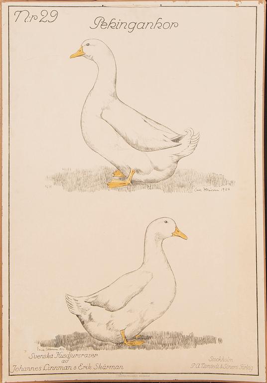 Skolplancher 3 st tidigt 1900-tal.