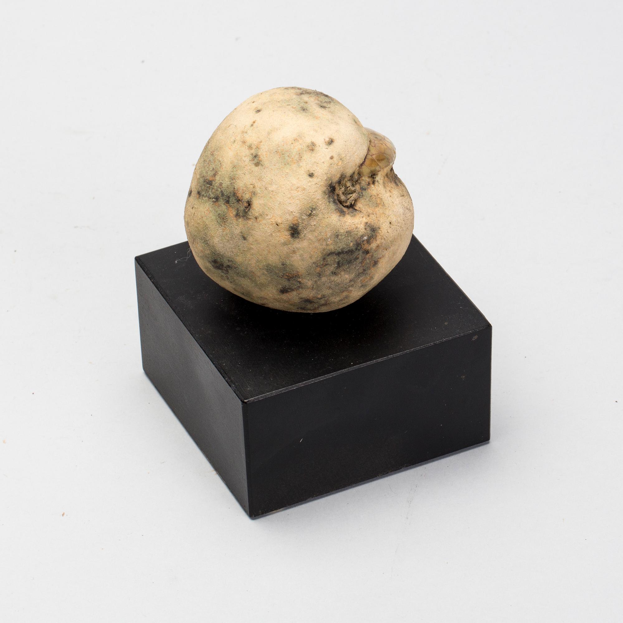 ALF EKBERG, skulptur, stengods, signerad, 1900-talets slut.