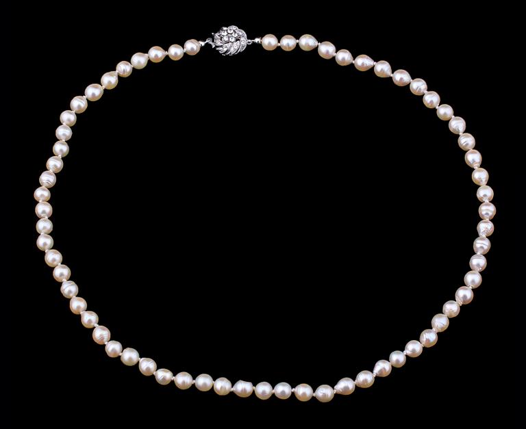 PÄRLCOLLIER.
