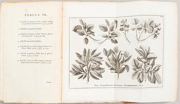 Carl von Linné, Flora Lapponica, J.E Smith, 1792, bok.