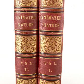 OLIVER GOLDSMITH 'A History of The Earth and Animated Nature' I-II, hand colored plates, c 1870.