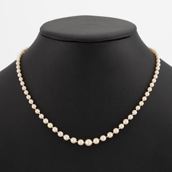 Necklace with cultured graduated pearls, white gold clasp with rose-cut diamonds.