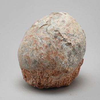 DINOSAURIEÄGG, fossil.