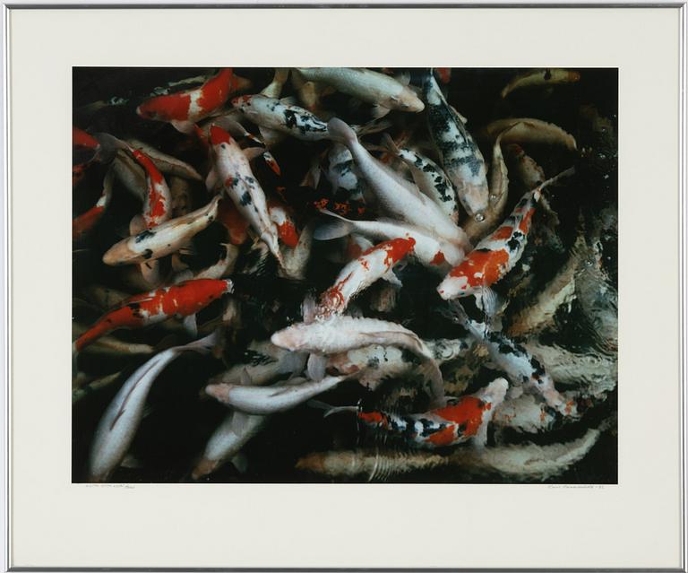 Hans Hammarskiöld, photograph signed and dated -82.