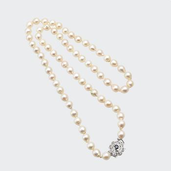 Necklace of cultured pearls with an 18K white gold clasp.