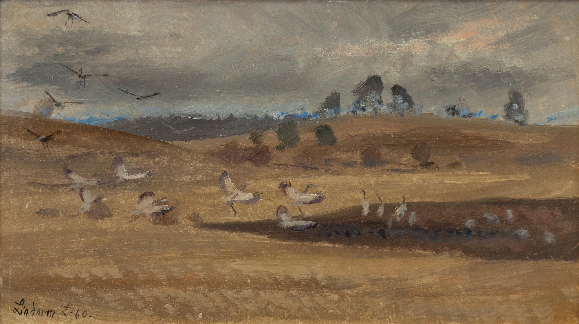 Lindorm Liljefors, Tranor.