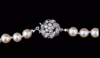 PÄRLCOLLIER.