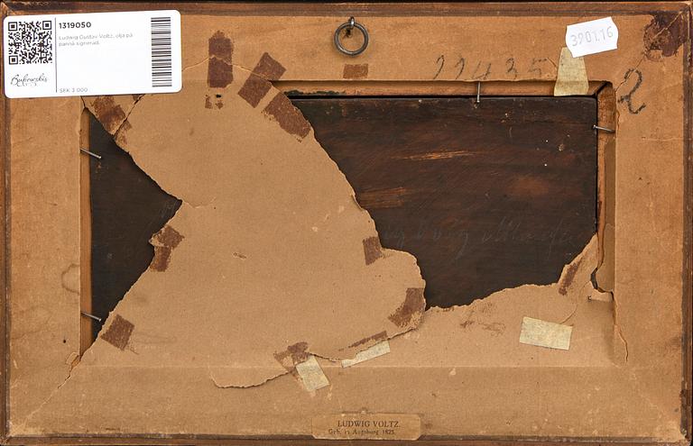 Ludwig Gustav Voltz,