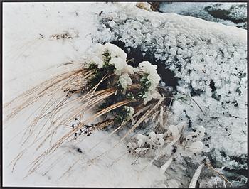 OKÄND KONSTNÄR, fotografi, signerat a tergo, Ryssland.