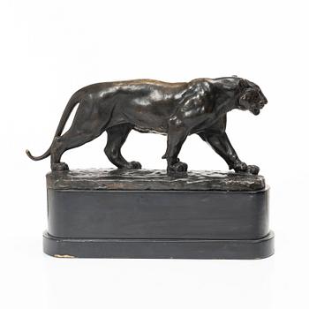 Johan Axel Wetterlund, Tiger.