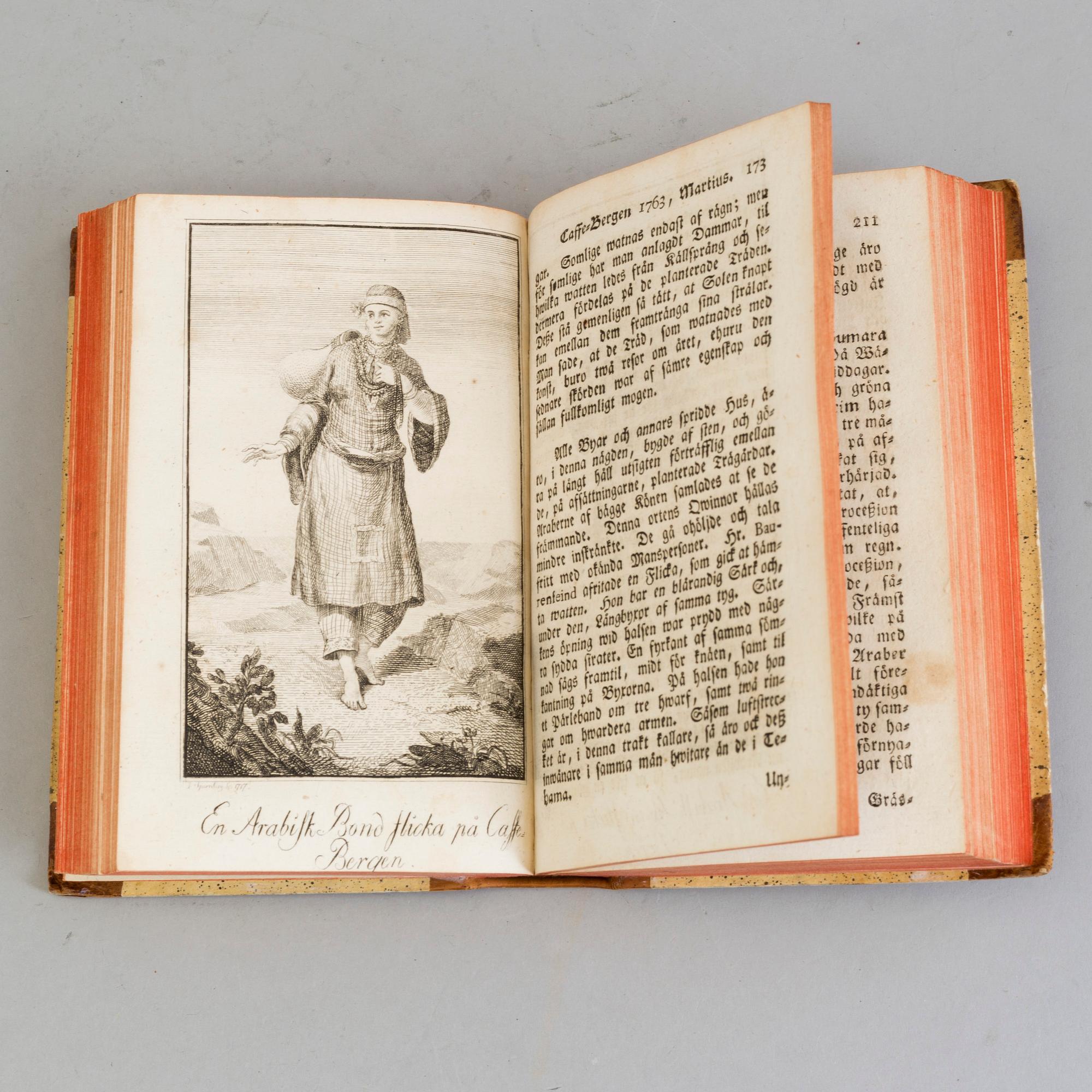 A book by Carsten Niebuhr, Stockholm 1787.