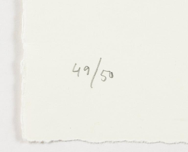 Jan Håfström, "Material från Arkivet III".