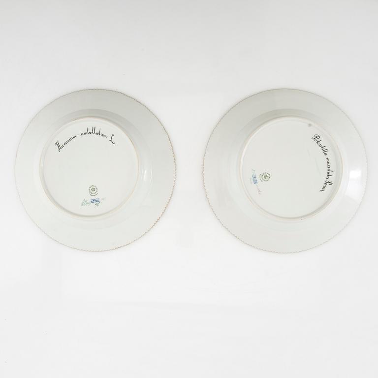 Plates 2 pcs "Flora Danica" Royal Copenhagen Denmark 1964 and 1966 porcelain.