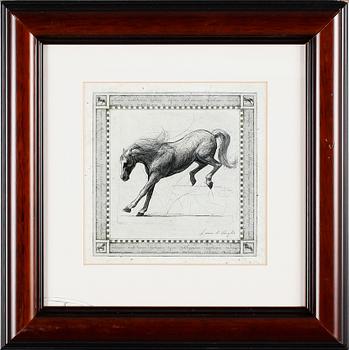 TAVLOR, 9 st, tryck, 1900-talets andra hälft.