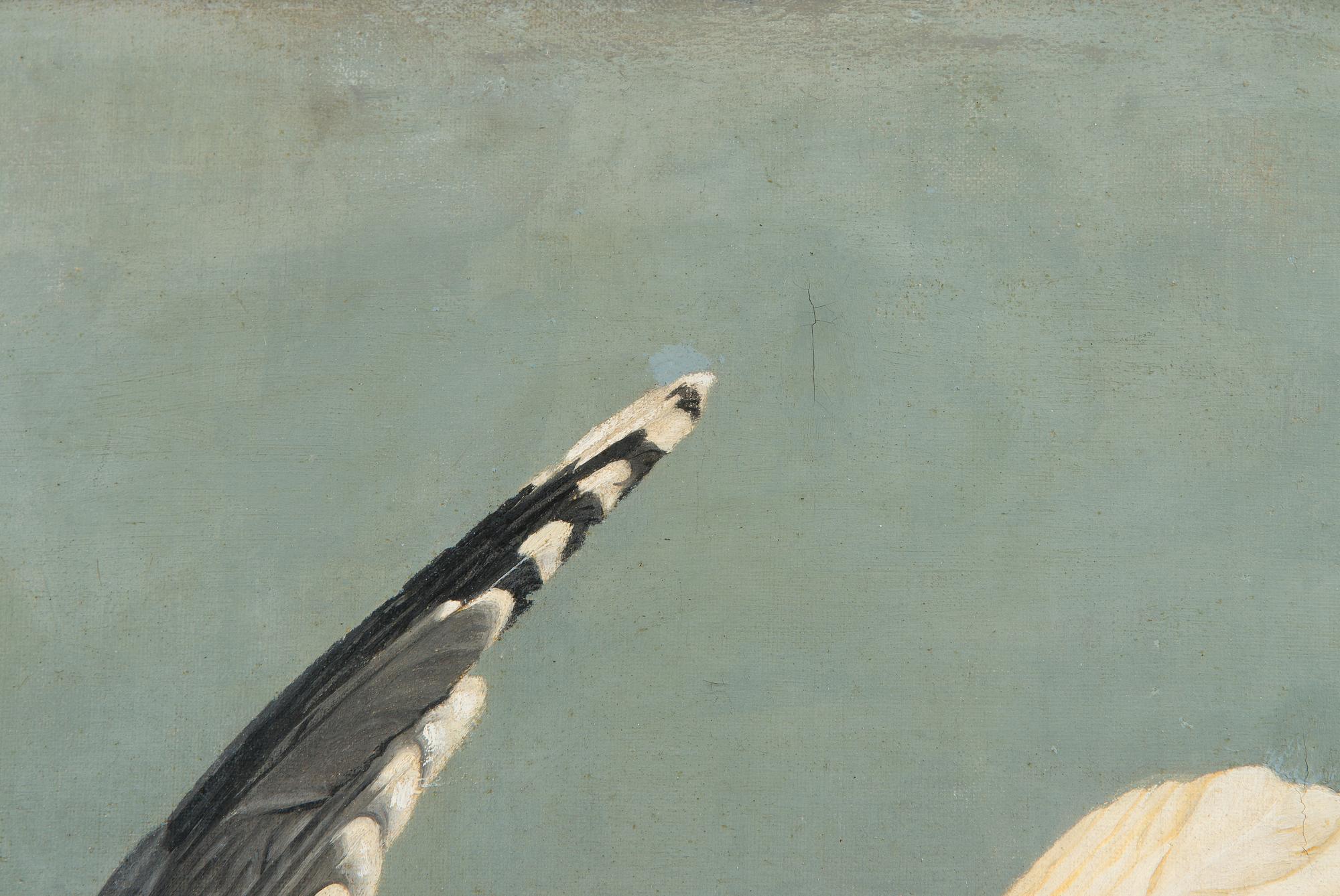 Ferdinand von Wright, Diving Seagull.