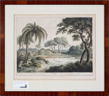 THOMAS CAPTAIN WILLIAMSON, efter, gravyr, England 1800-tal.