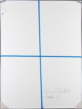 photograph, lamda print, ed. 1/1, 2006, signed a tergo.