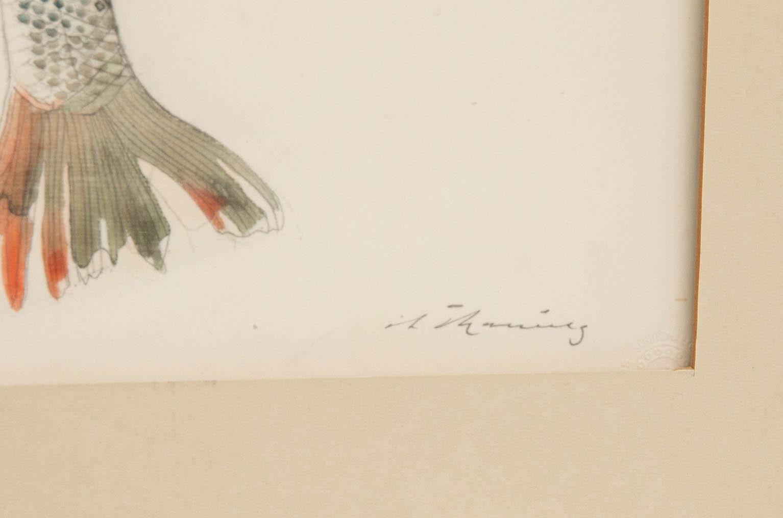 Okänd konstnär 1900-tal, Nyfångat.