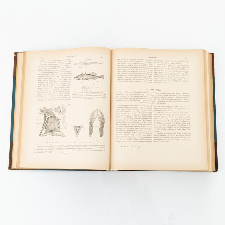 Wilhelm von Wright, 'Skandinaviens fiskar', three volumes, Stockholm, P. A. Norstedt & Söners Förlag, 1892-95.