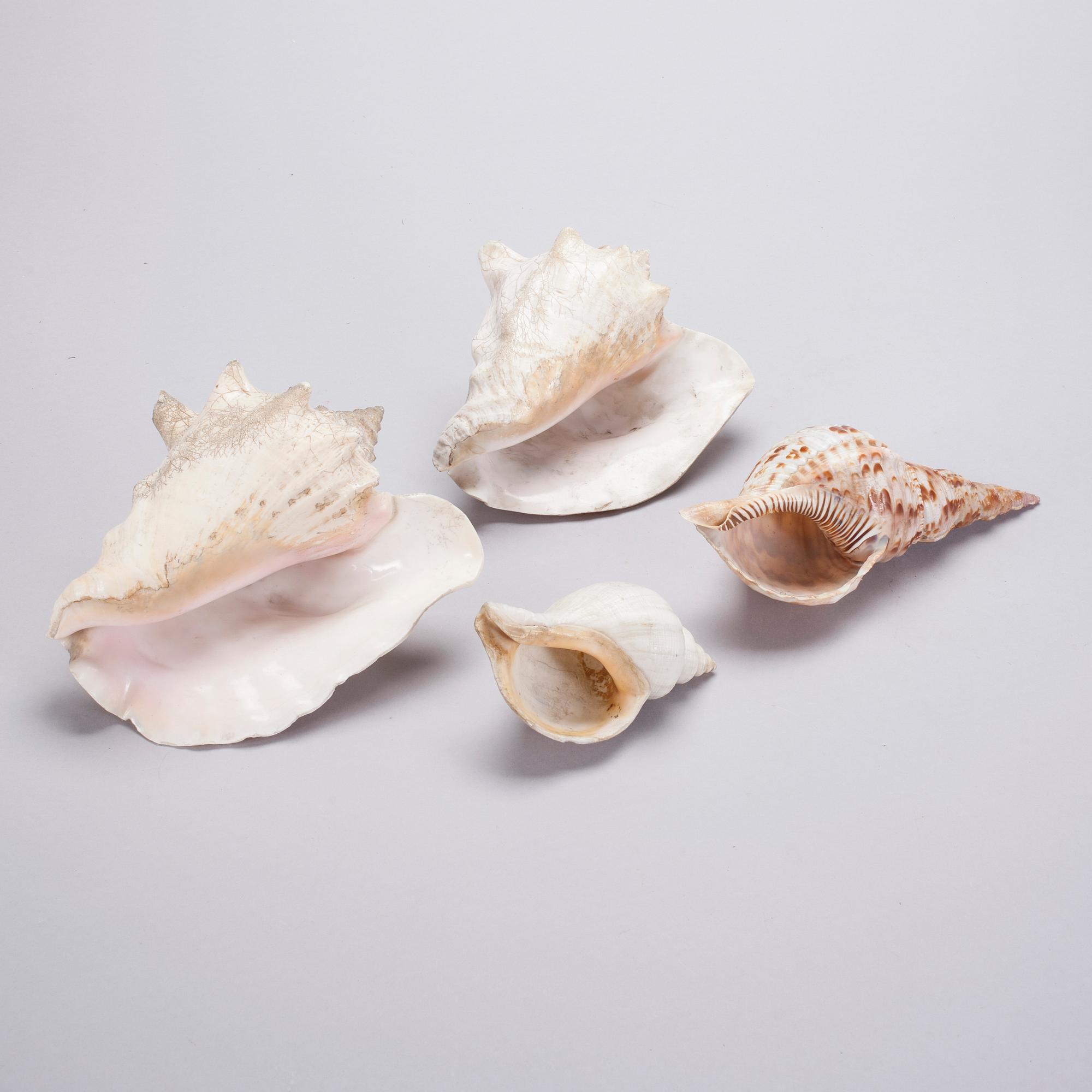 UNDERVISNINGSMODELLER, 4 st, 1900-talets första hälft.