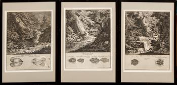 Johann Elias Ridinger, six copper engravings, Germany 18th Century.