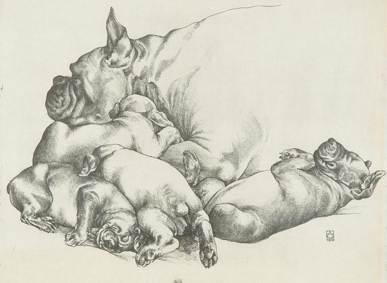 Henno Arrak, "Pesakond" (Pesue).