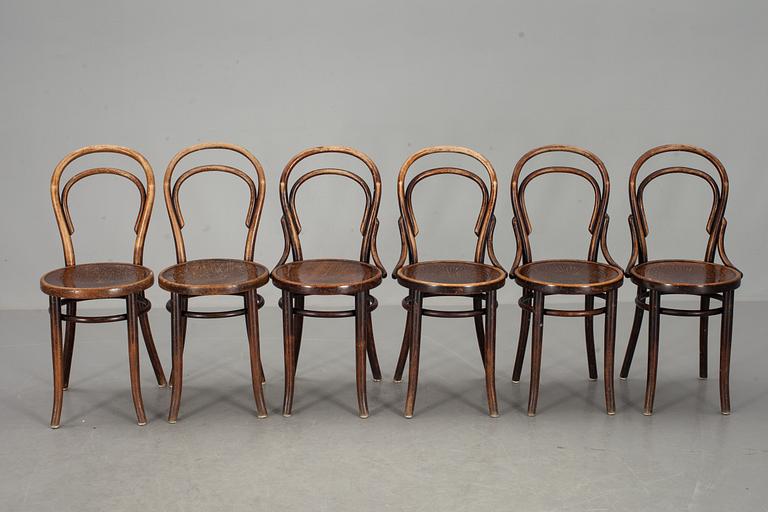 STOLAR, 6 st, Thonet, 1900-talets första fjärdedel.