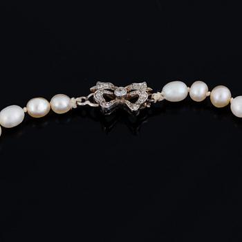 Cultured pearl necklace, clasp with old-cut diamonds.