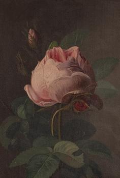 Carl Balsgaard, tillskriven, Rosor.