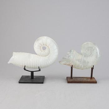 Two glass shells by Claes Uvesten, signed and one dated 1996.