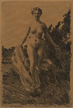 Anders Zorn, "Sommar".