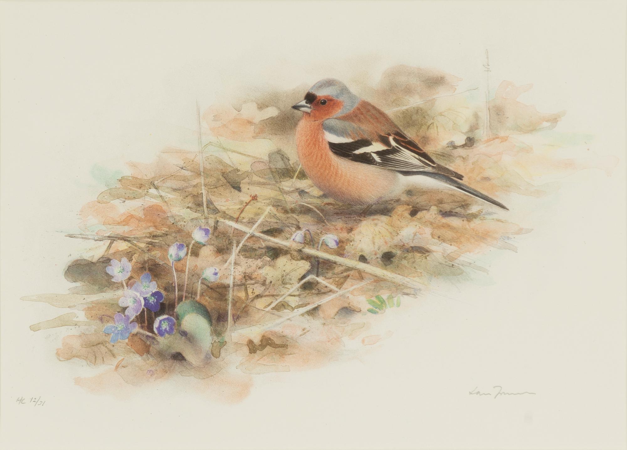 Lars Jonsson, Chaffinch.