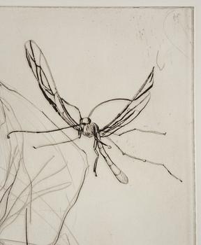 Linn Fernström, Untitled.