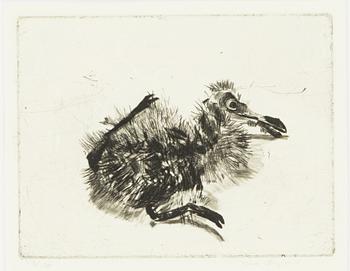 Lena Cronqvist, "Måsunge".