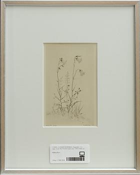 GUNNAR NORRMAN, 2 st, litografier, sign, numr 76/175 resp 4/25 samt dat 1955 resp 1954.