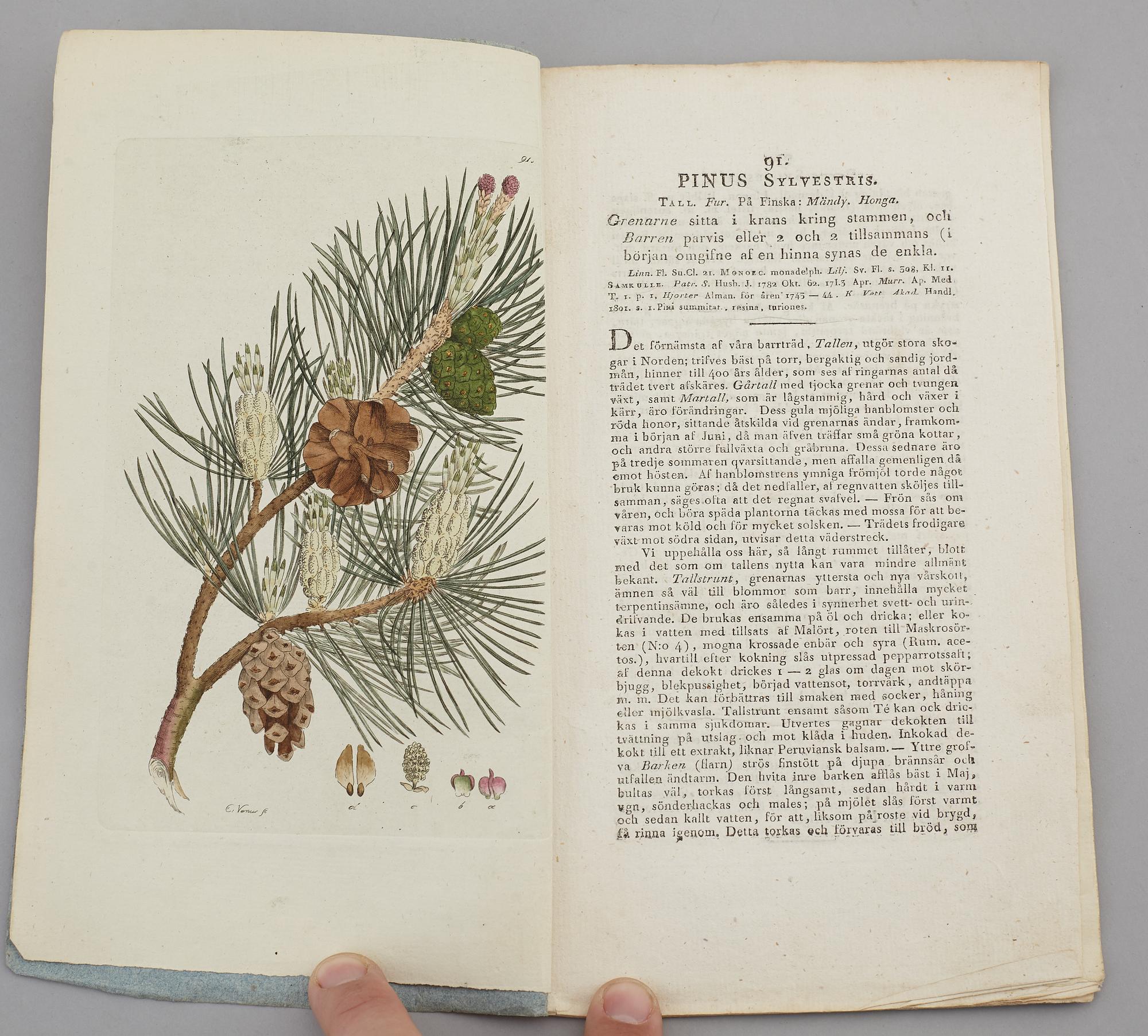 JOHAN WILHELM PALMSTRUCH, "Svensk Botanik, vol I-V. 1803-1805.