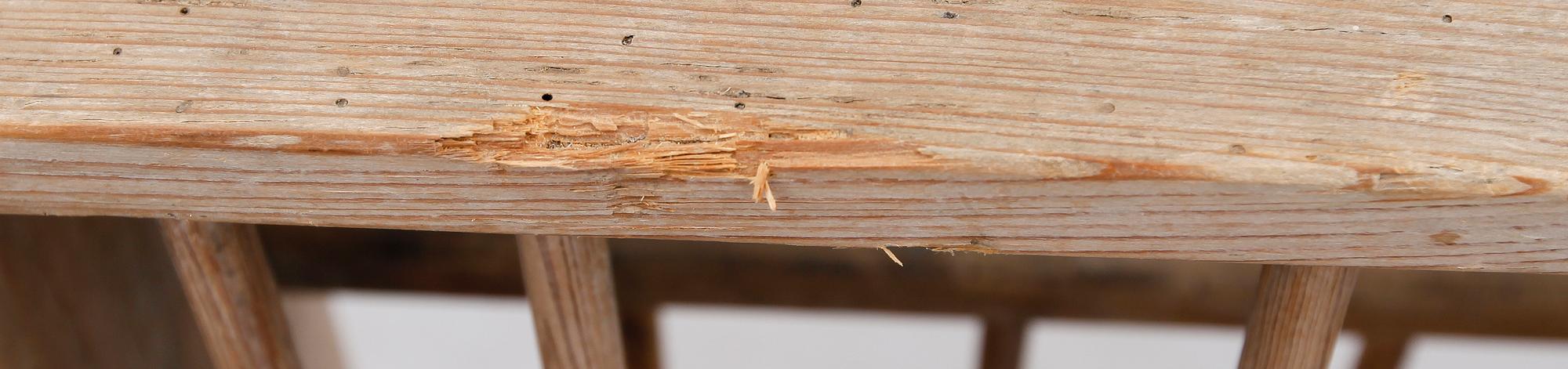 TALLRIKSHYLLA, allmoge, 1800-talets andra hälft.