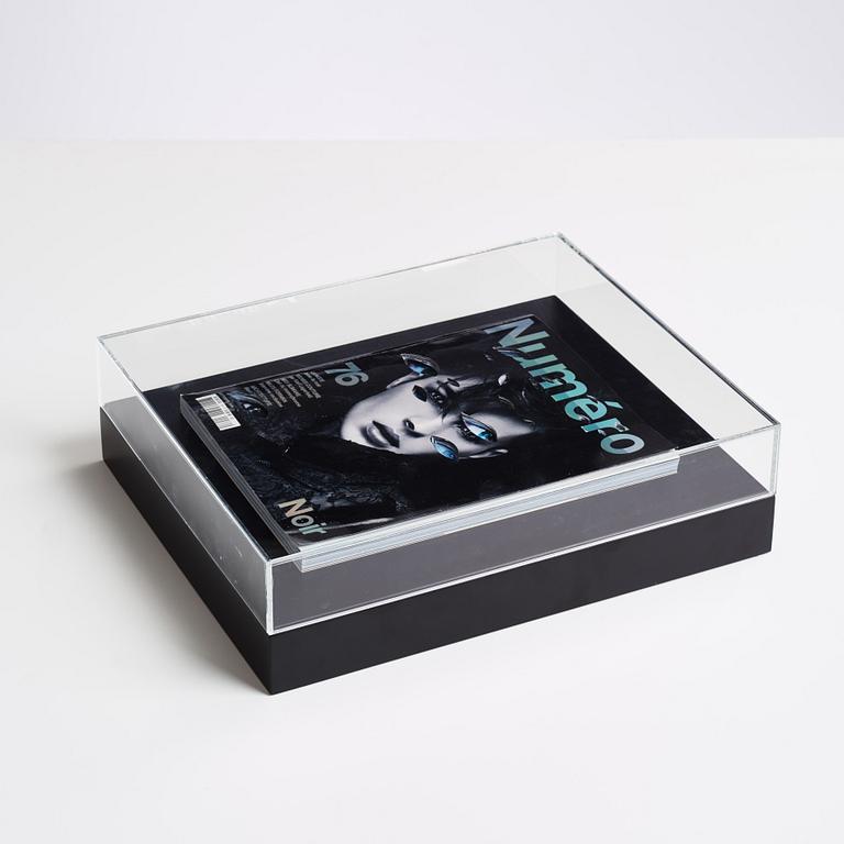 Anna Nordquist Andersson, "I see through you".