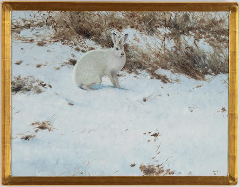 Lennart Sand, Winter Hare.