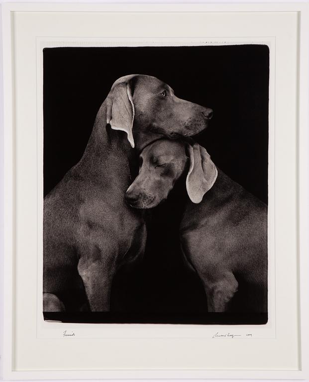 William Wegman, "Friends".