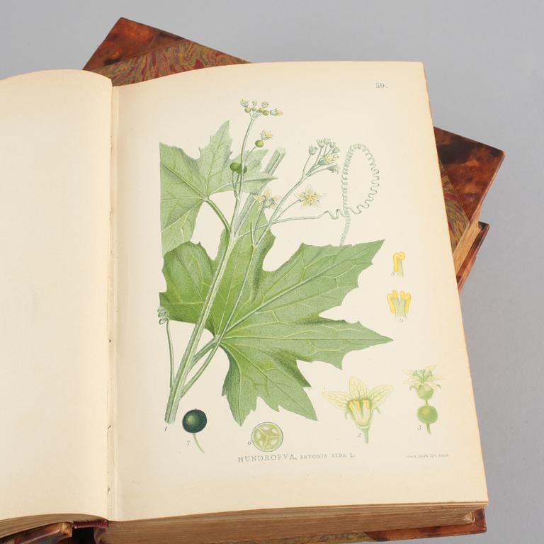 BÖCKER, 3 volymer C.A.M Lindman. "Bilder ur Nordens Flora". C. A. M. Lindman, Wahlström & Widstrand, Stockholm 1905.