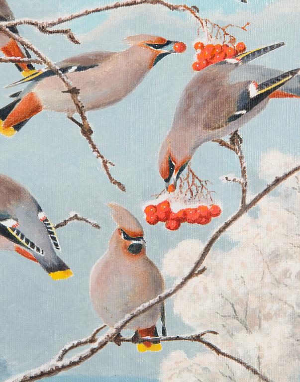 Matti Karppanen, Sidensvansar i Vinterlandskap.