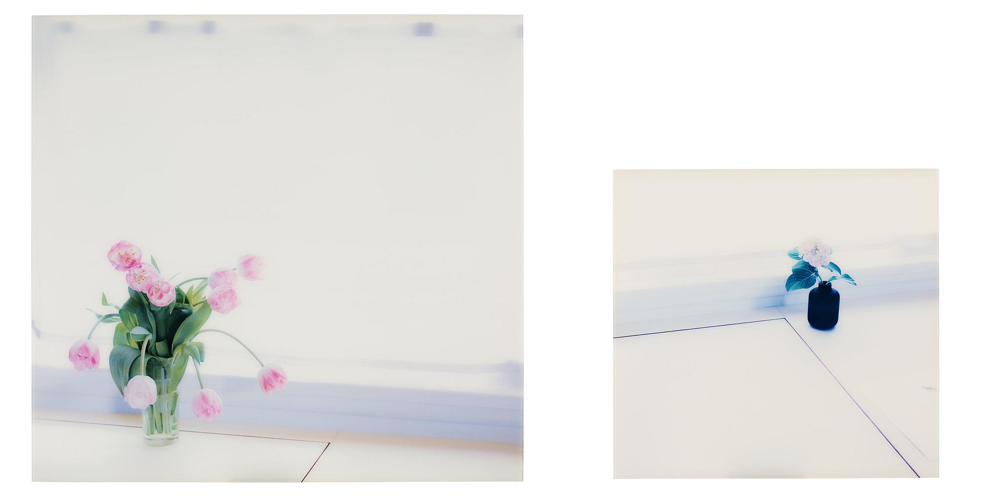 Uta Barth, "Untitled 05.14", 2005.