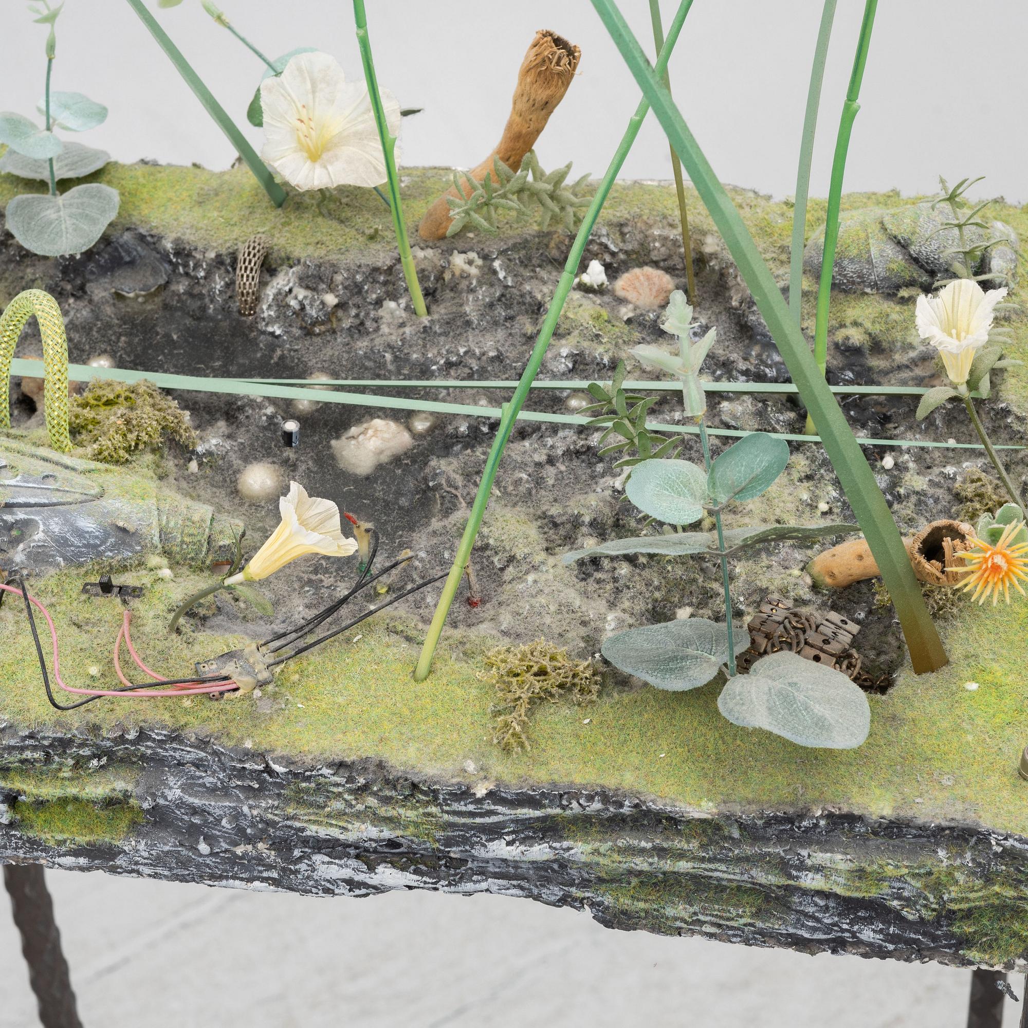 Veit Laurent Kurz, "Pond#2". (Niche Displacement Series).