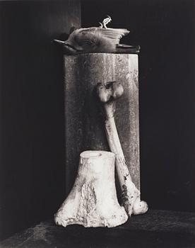 218. Hans Gedda, 'Stilleben med död fågel, benknotor och stenfris', 1996.