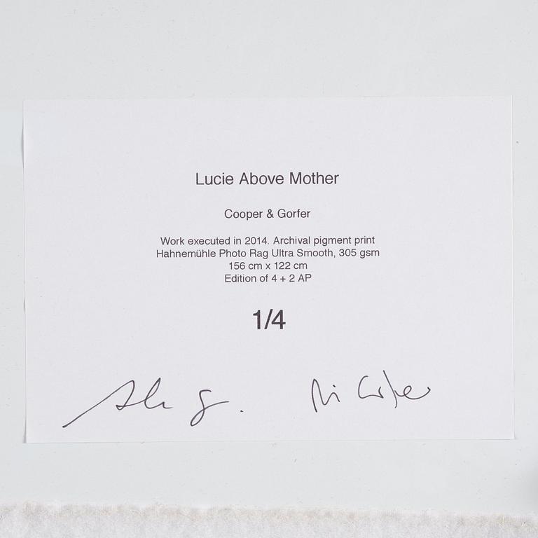 Cooper & Gorfer, "Lucie Above Mother", 2014.