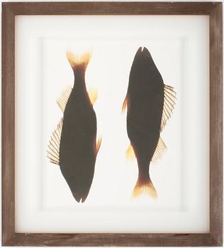 LASSE KÄRKKÄINEN, C-Print? sign o numr 1/20 a tergo, 1996, vintage.