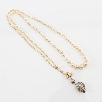 Necklace of cultured pearls with a clasp of gold set with diamonds.