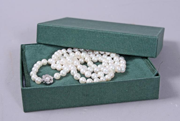 COLLIER, odlade pärlor.