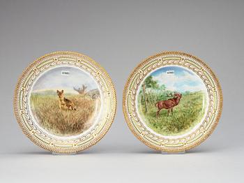 TALLRIKAR, sex stycken, porslin. Kungl Dansk, "Fauna Danica", 1900-tal.